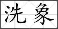 洗象