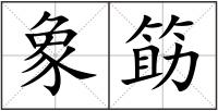 象筯