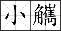 小觽