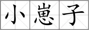 小崽子