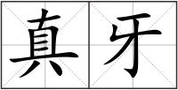 真牙