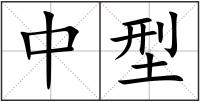 中型