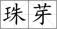 珠芽