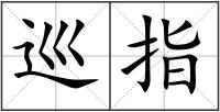 巡指