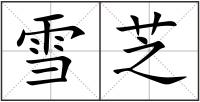 雪芝