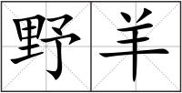 野羊