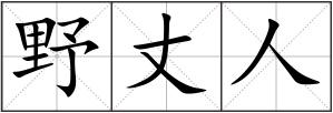 野丈人