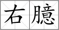 右臆