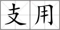 支用