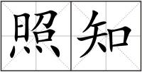 照知
