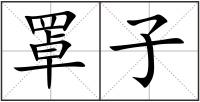 罩子